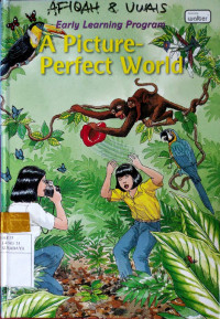 Image of A picture-perfect world