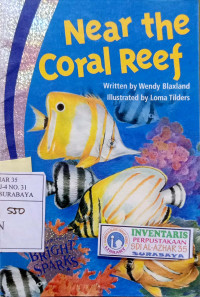 Image of Near the coral reef