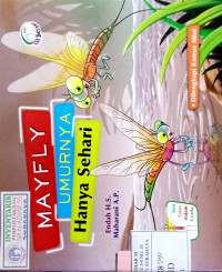 Image of Mayfly umurnya hanya sehari