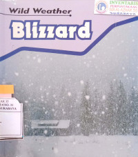 Image of Blizzard