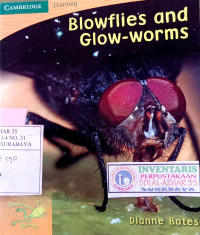 Image of Blowflies and glow-worms