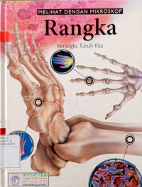 Image of Melihat dengan mikroskop : rangka = kerangka tubuh kita