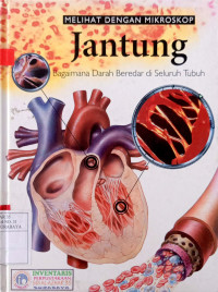Image of Melihat dengan mikroskop : jantung = bagaimana darah beredar di seluruh tubuh