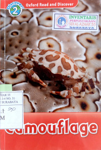 Image of Camouflage