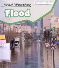 Image of Flood
