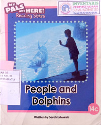 Image of People and dolphins