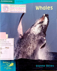 Image of Whales