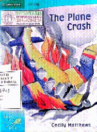 Image of The Plane Crash