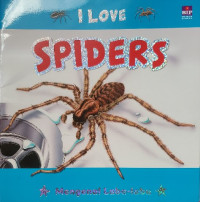 Image of I love Spider : mengenal laba-laba